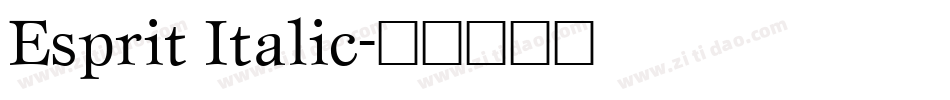 Esprit Italic字体转换